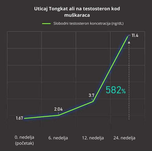 Kapsule Tongkat Ali – prirodni afrodizijak i booster energije za muškarce
